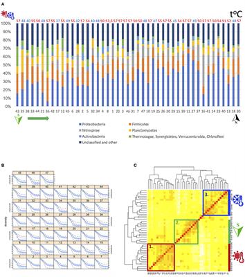 Investigating Bacterial and Free-Living Protozoa Diversity in Biofilms of Hot Water Pipes of Apartment Buildings in the City of Riga (Latvia)